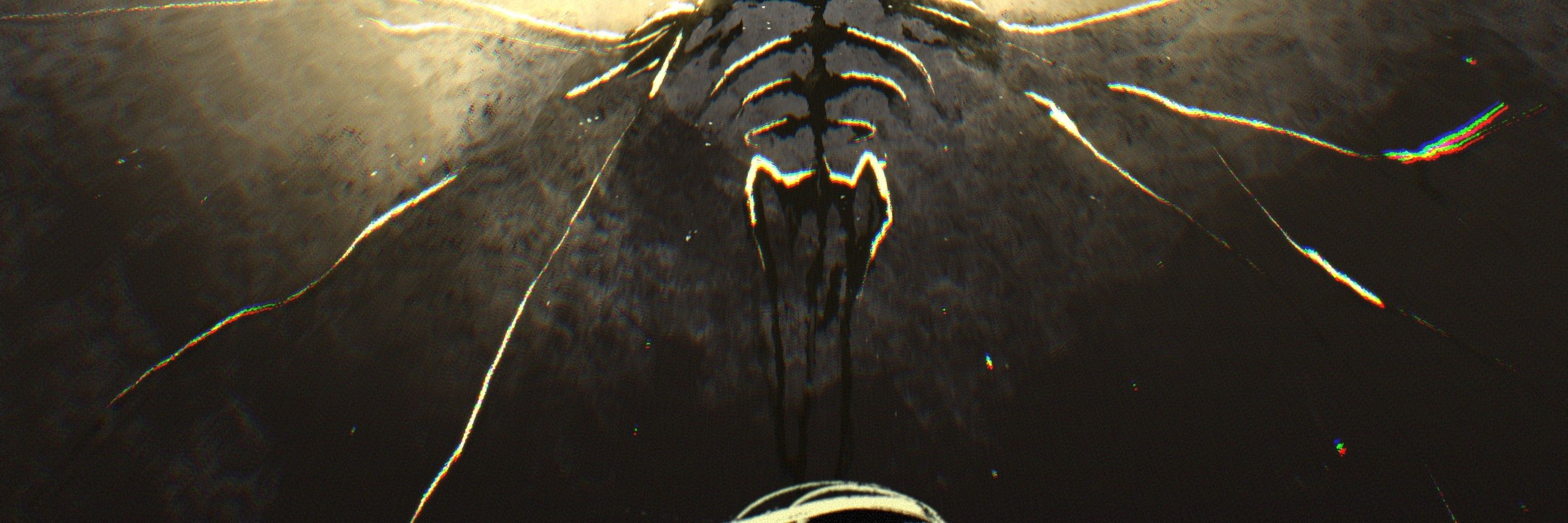 CODEX.CROW