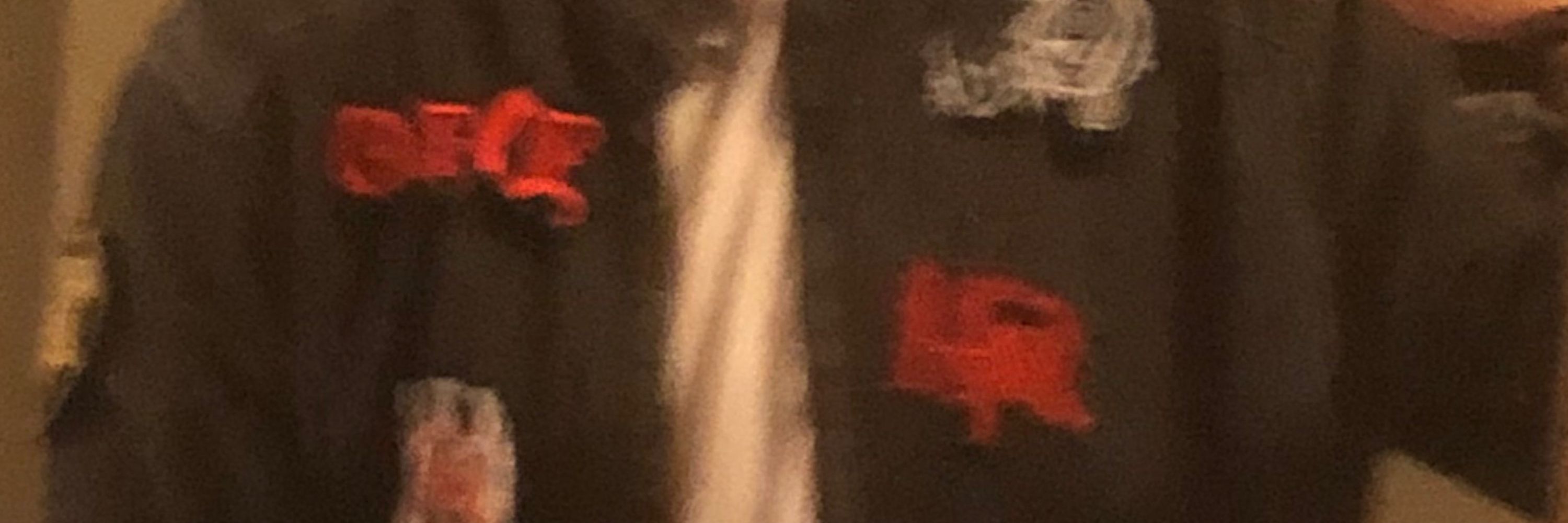Nebi maldição 666🦇