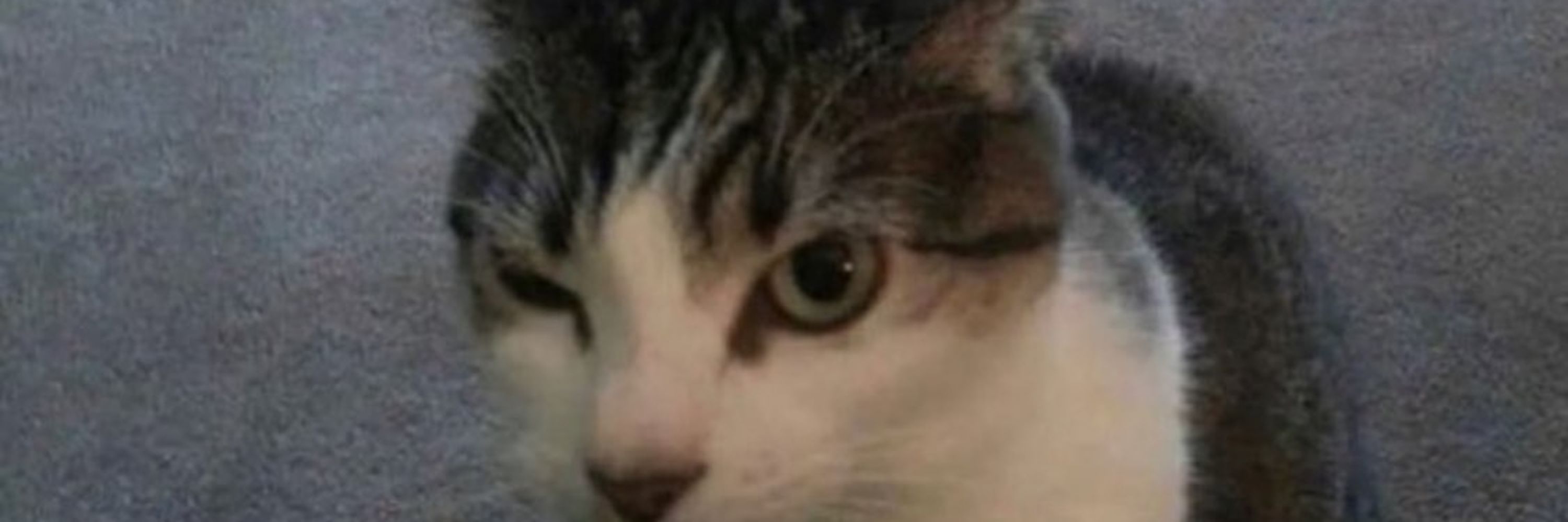 Weg