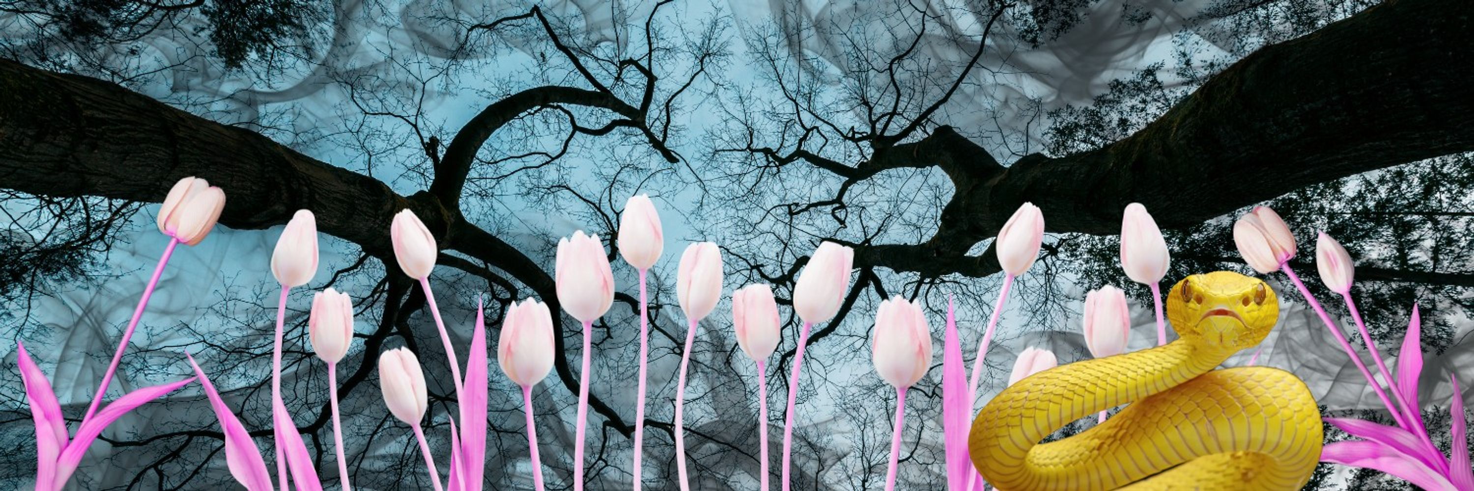 Wendy Spurlin