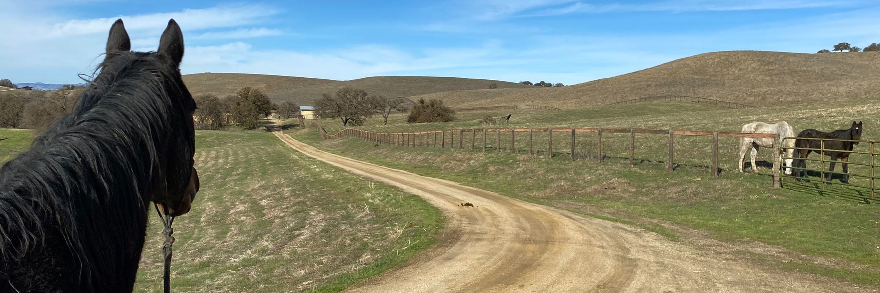 Fresh Start Thoroughbred Lifecare, Inc.