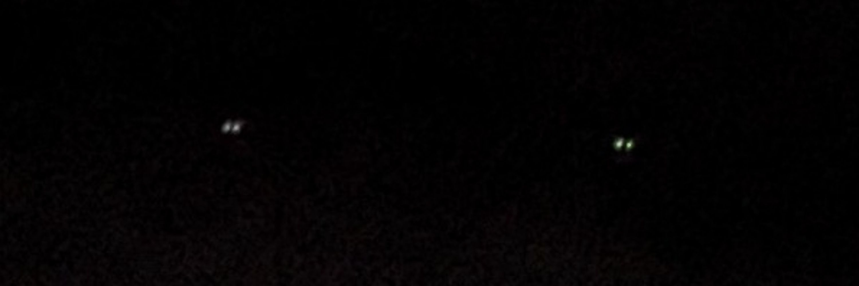 Dark 🩹
