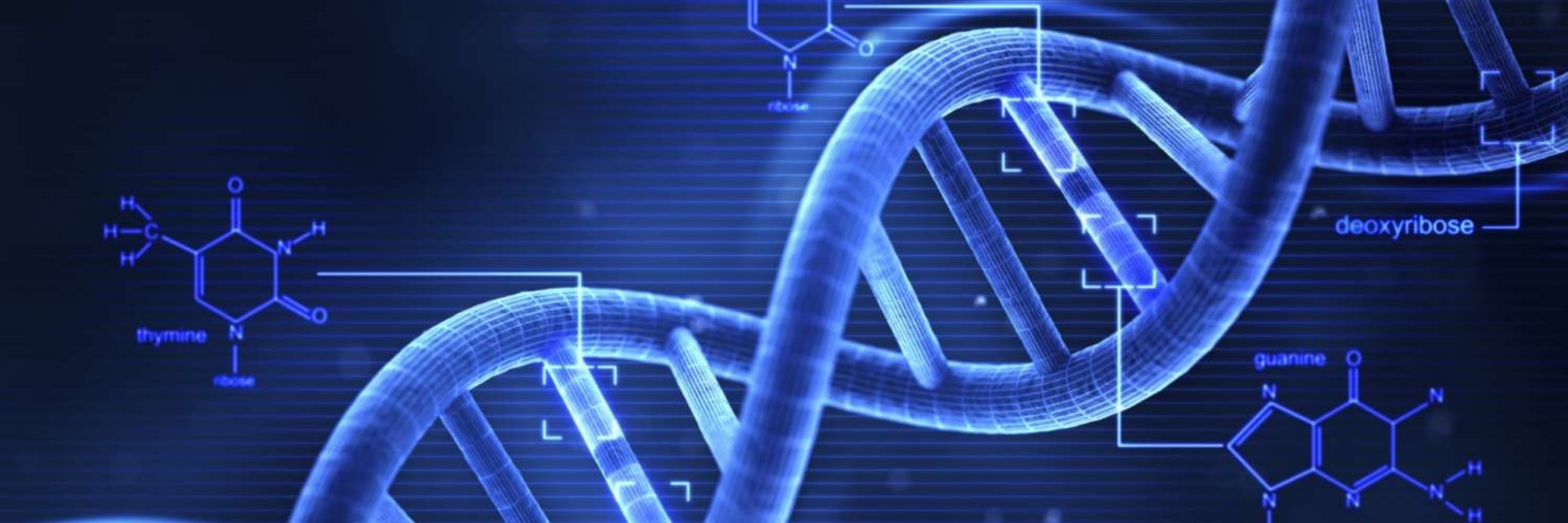 Karteris_Lab