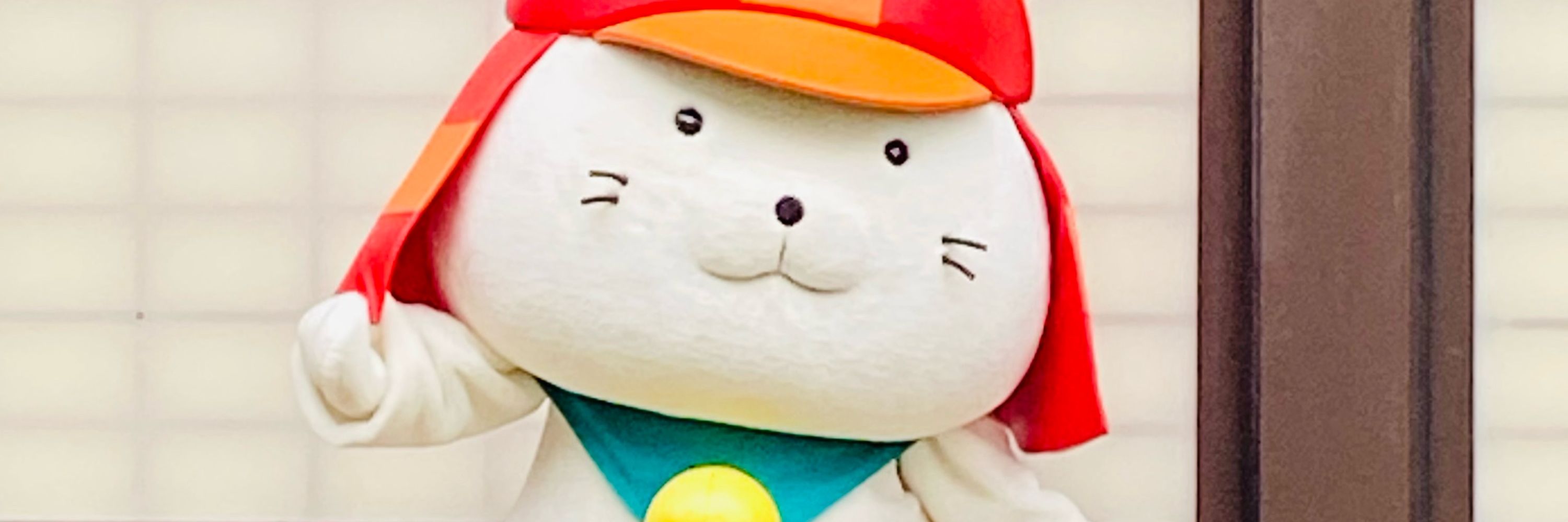 しょこらん