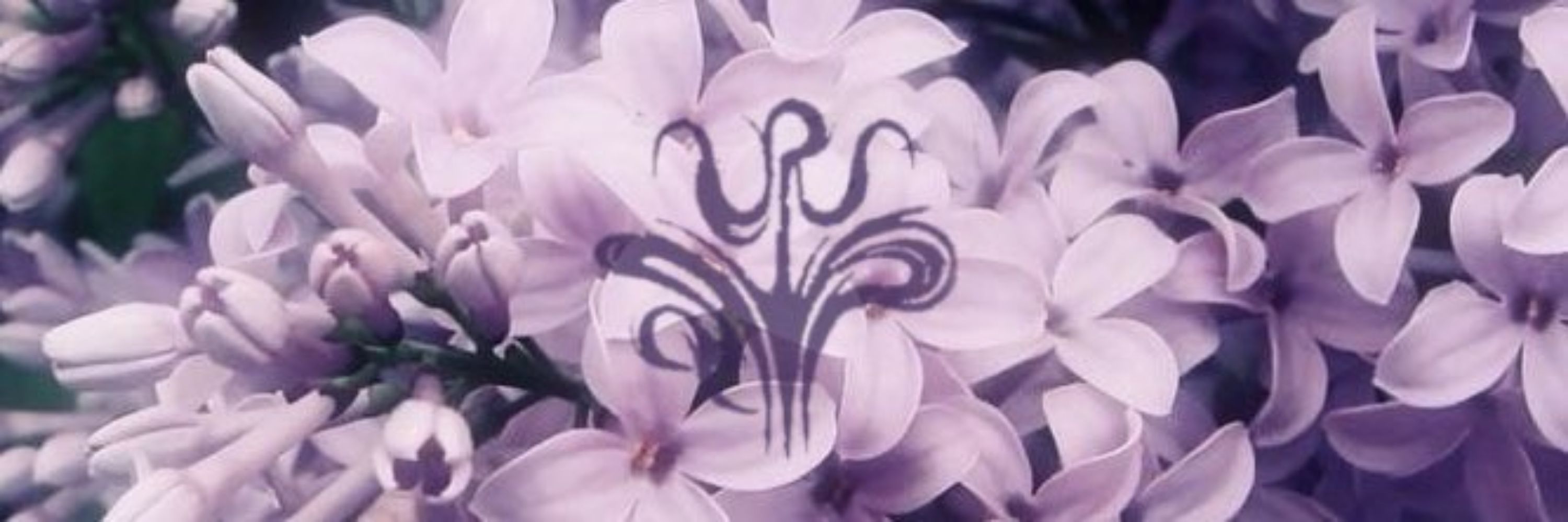 Ksukiy