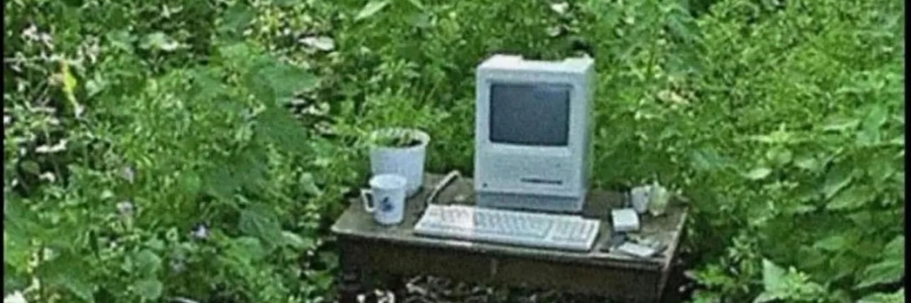 Lieke B 👩‍💻