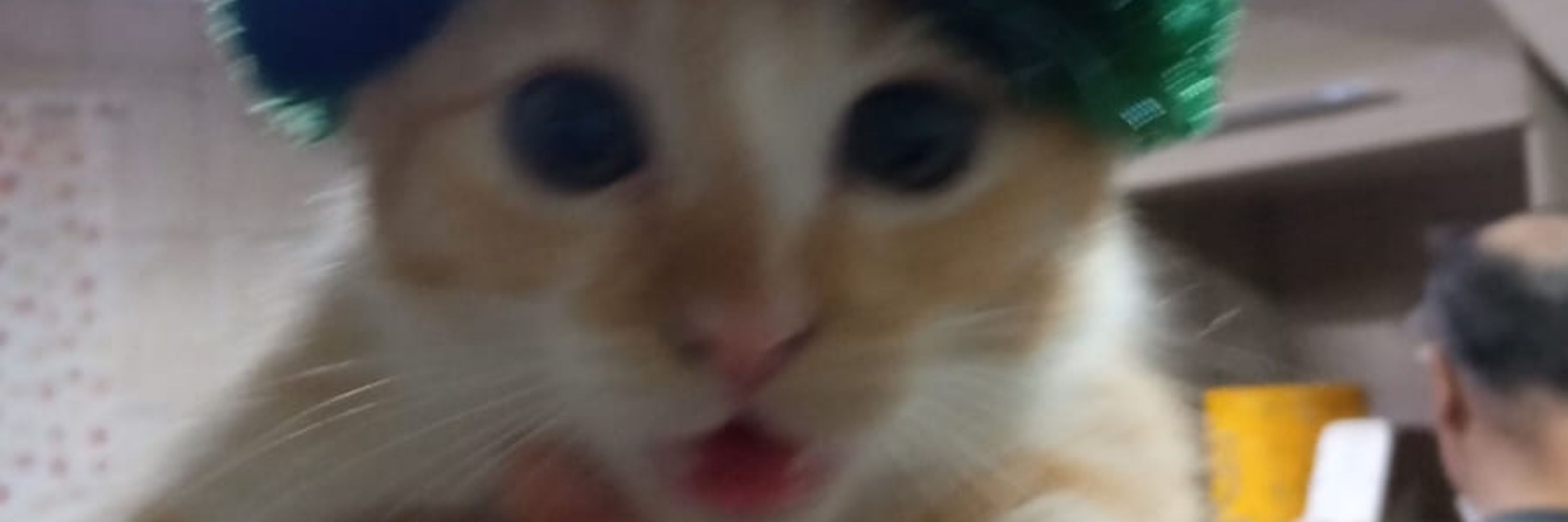 jo