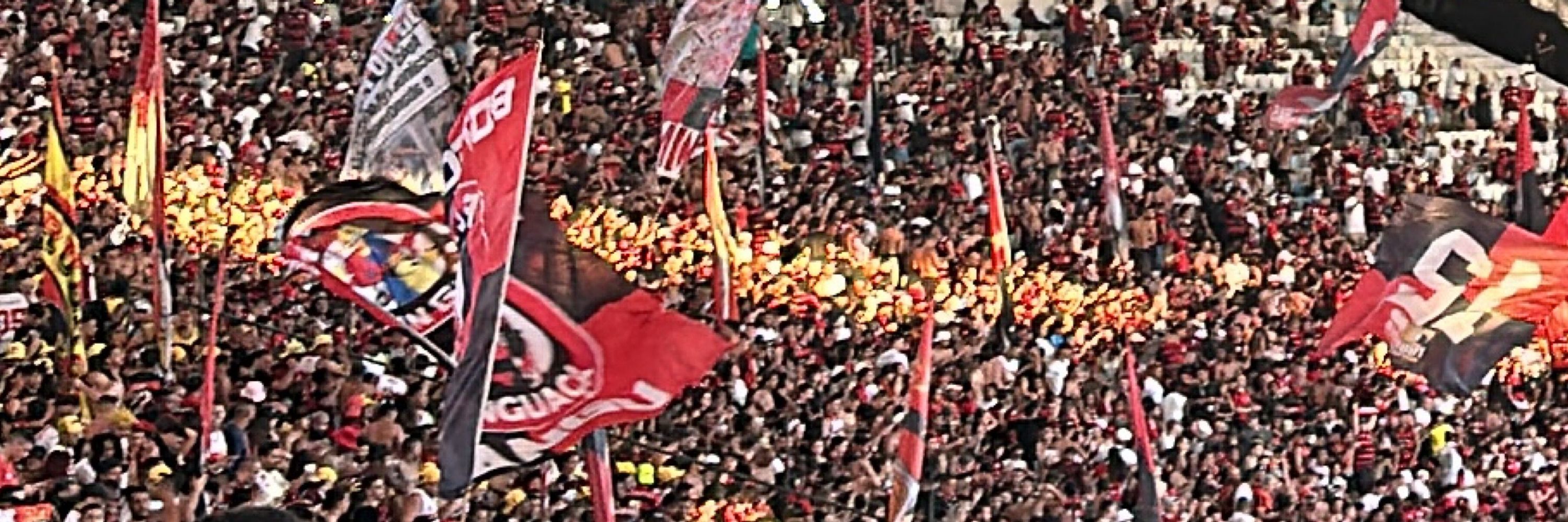 MJMFla73