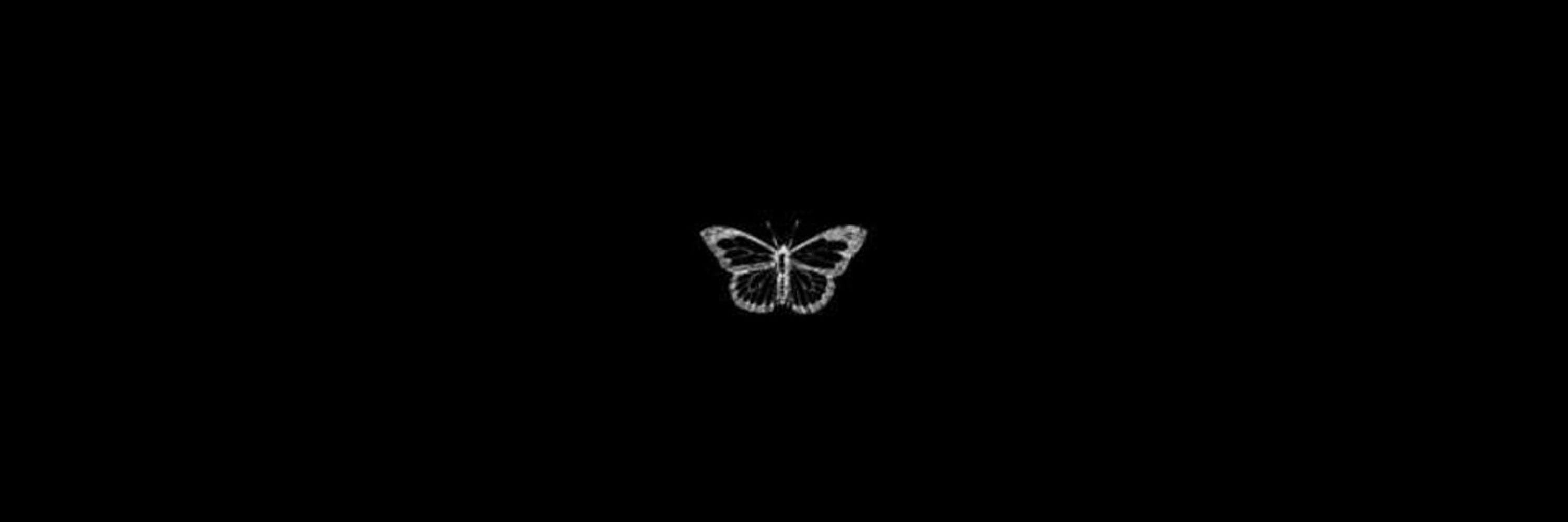 ꗃ cici cixel