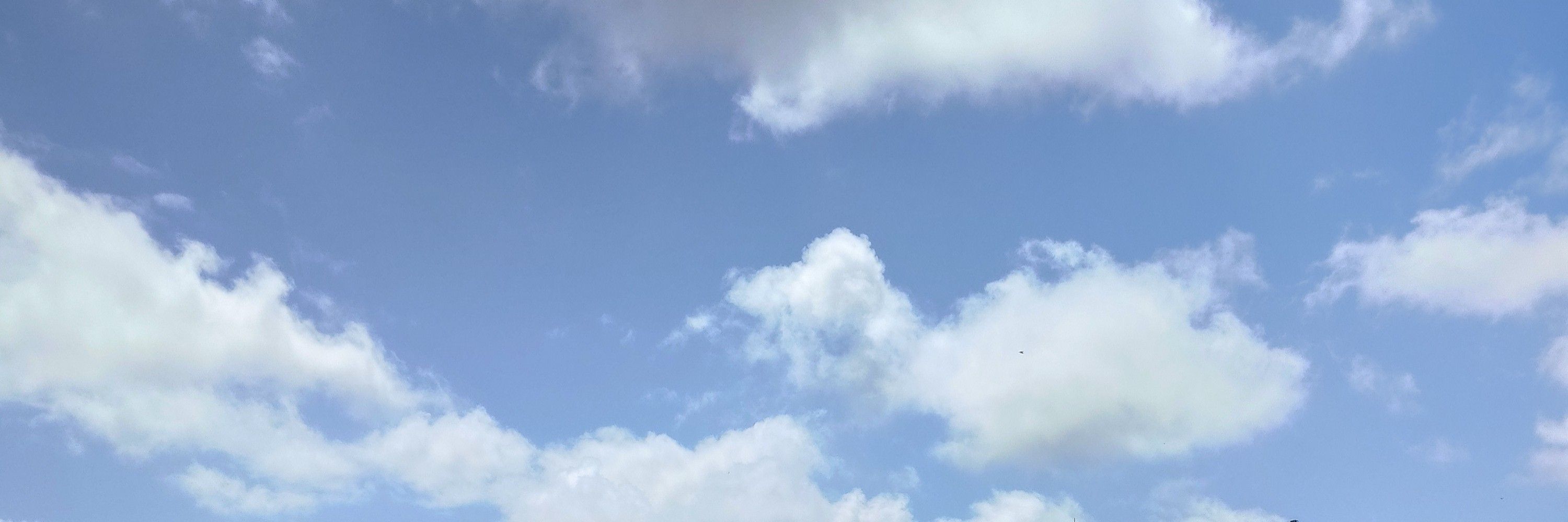 れれのーと