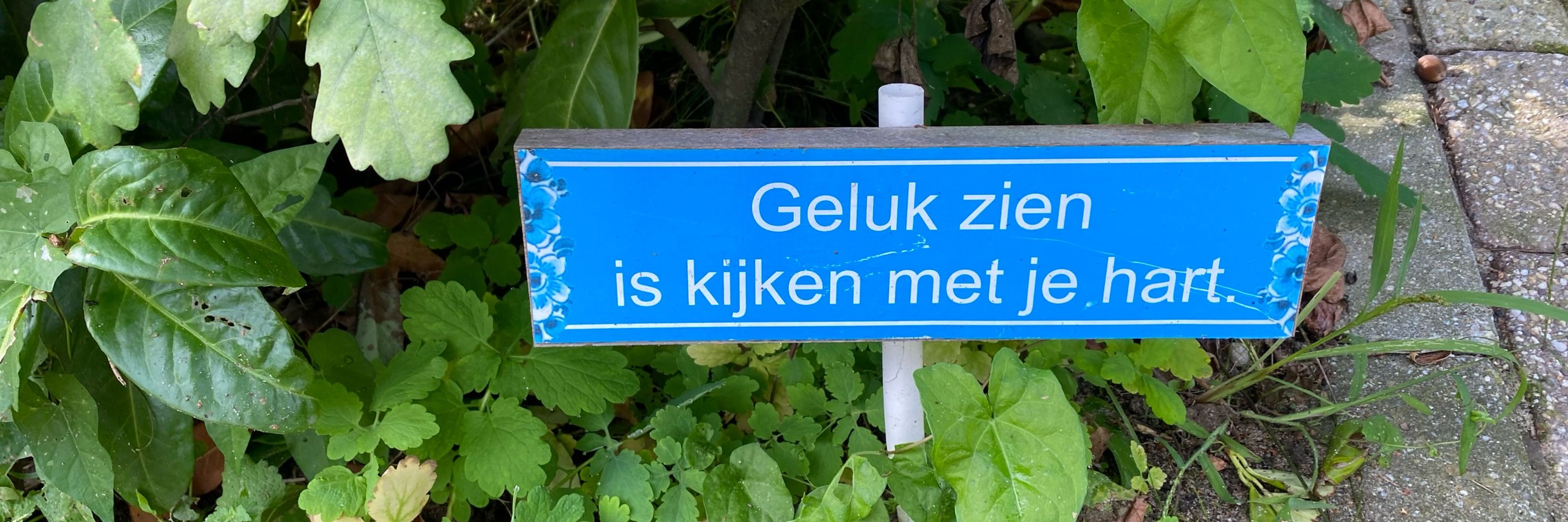 Jeltje Held