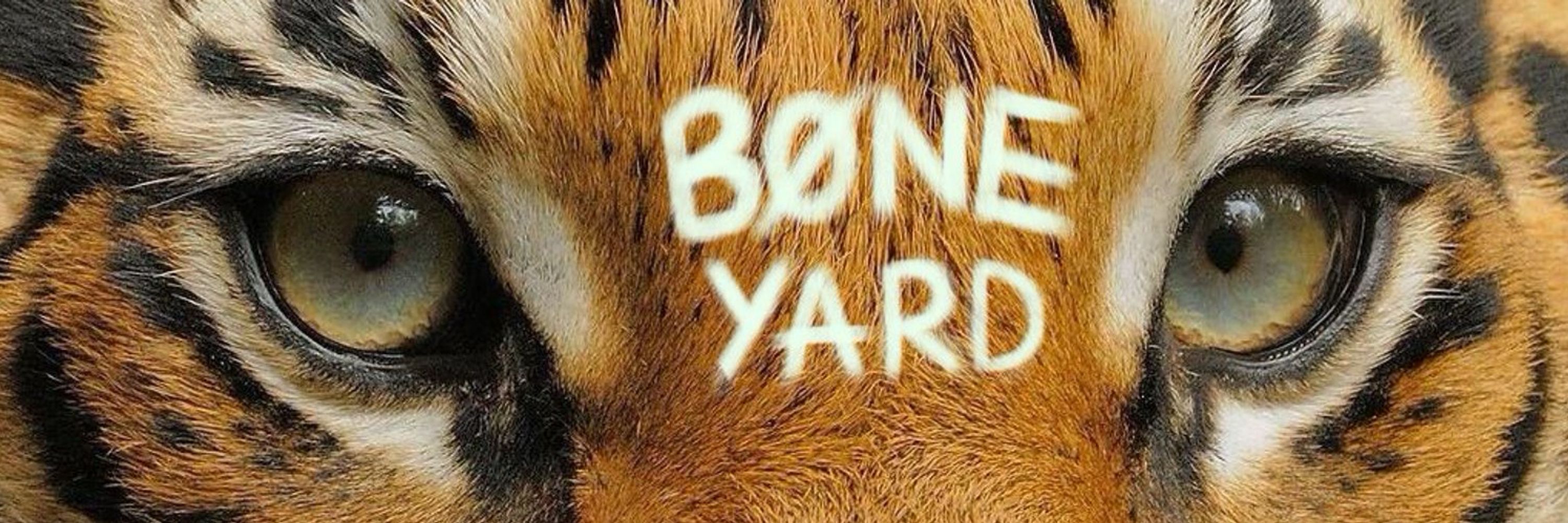 boneyard