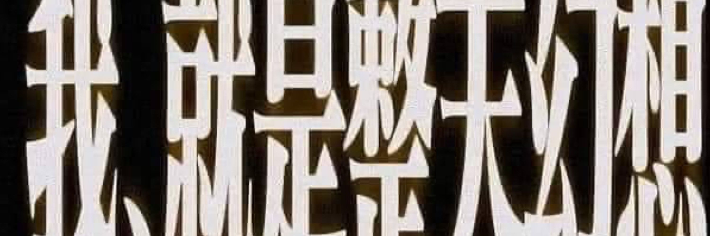 矽化木