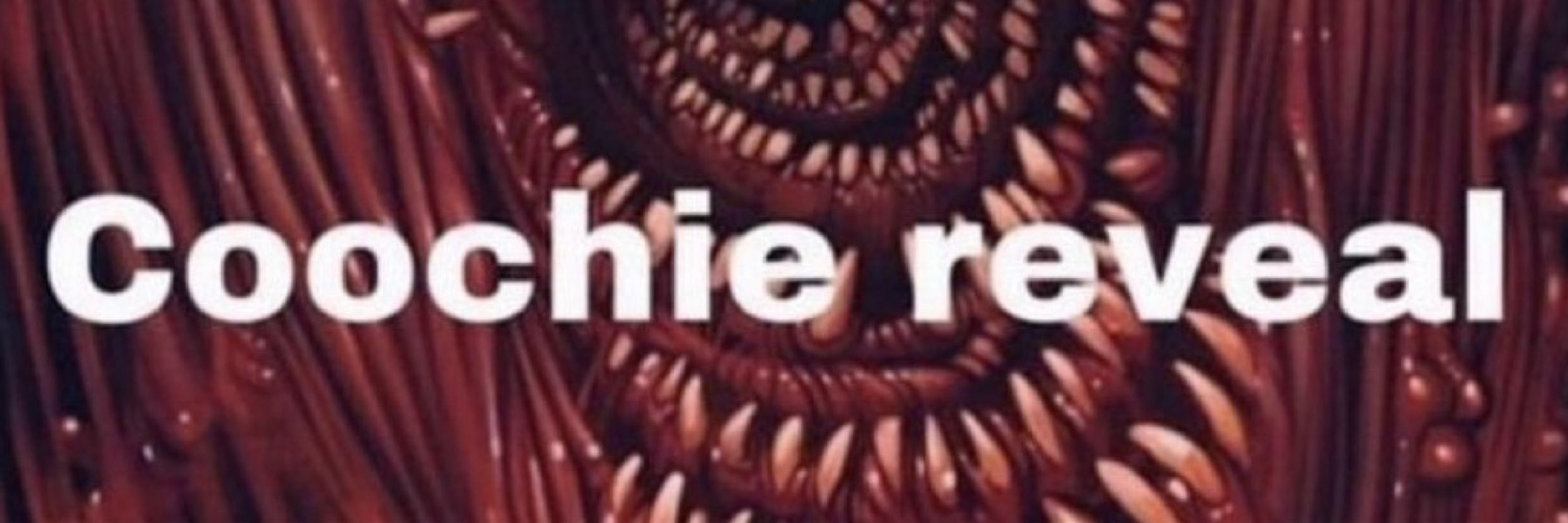 ⚠️LEECH🔞 He/They/It🏳️‍⚧️