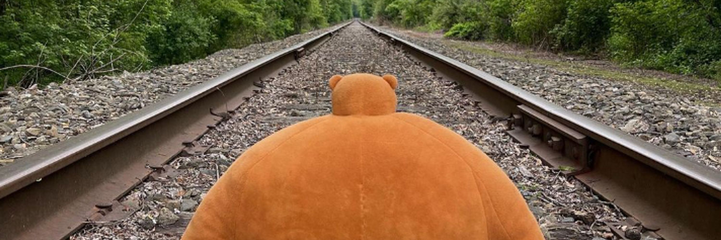 Ted