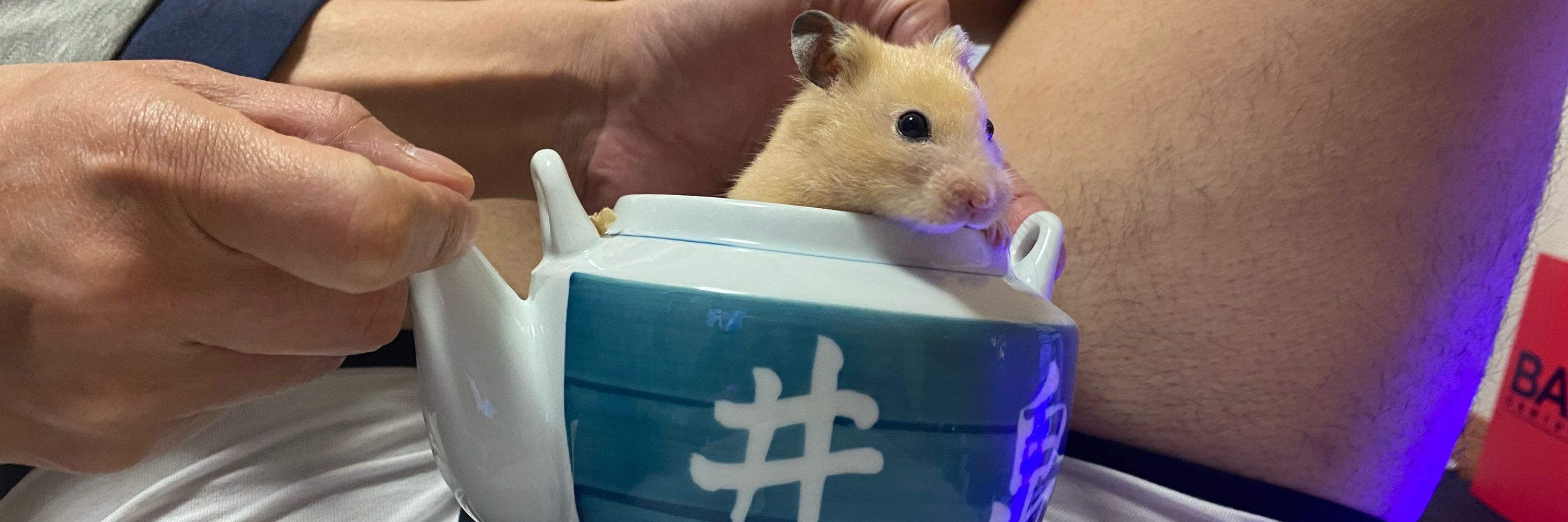 SHUN🐹