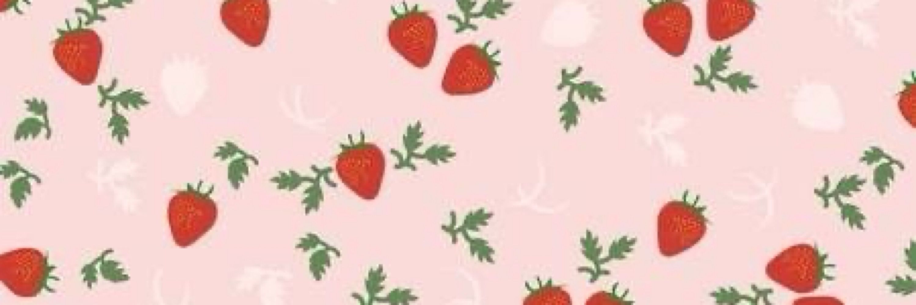 Meloberry🍓