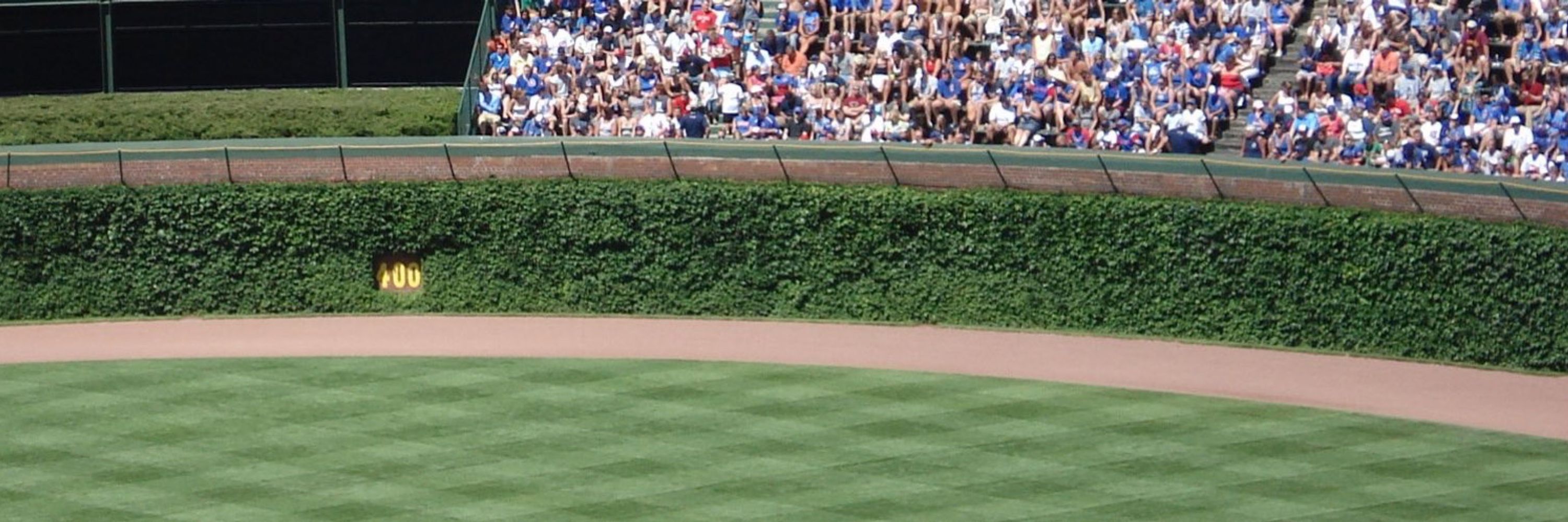 Wrigley Field Ivy
