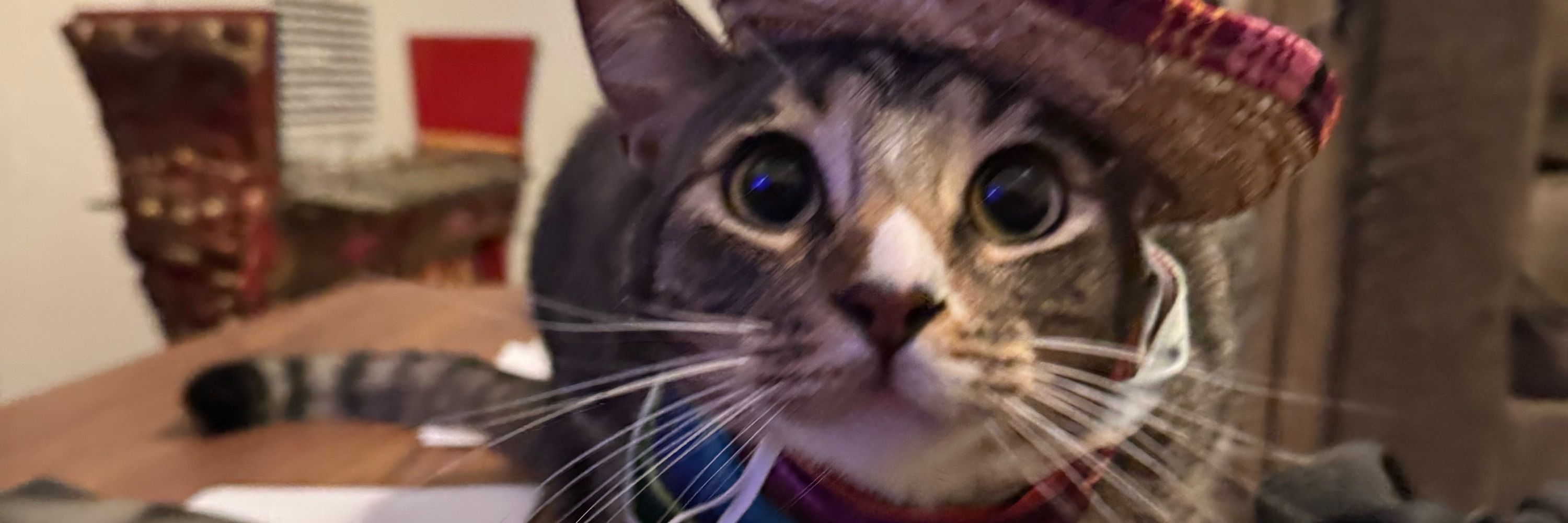 Geoff