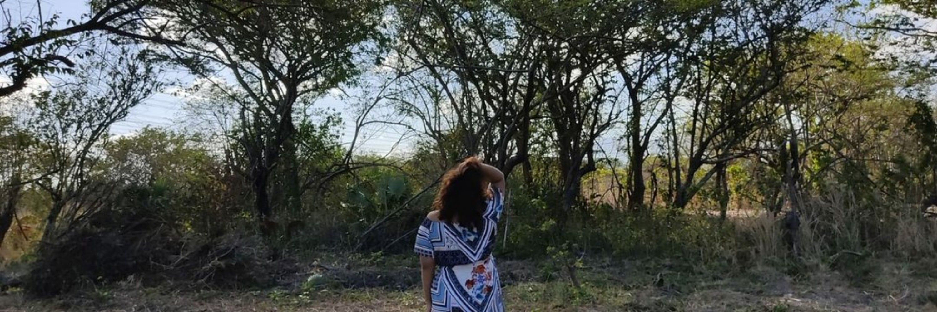 Alegria 