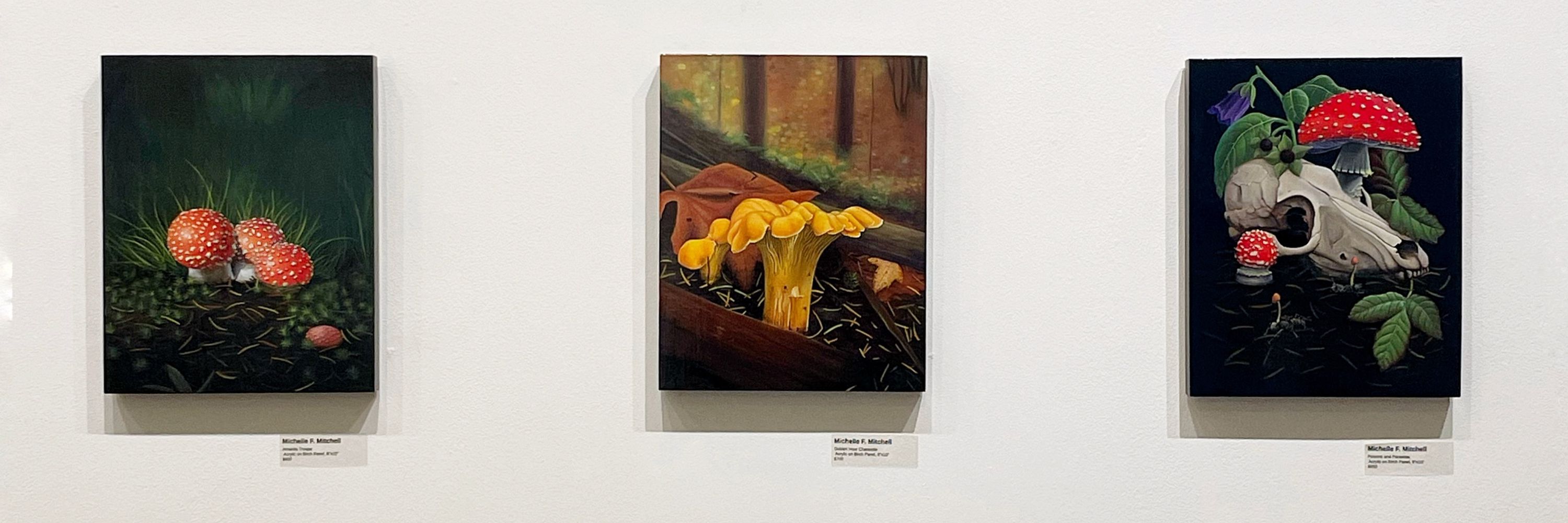 Michelle F Mitchell | Sword Fern Studios
