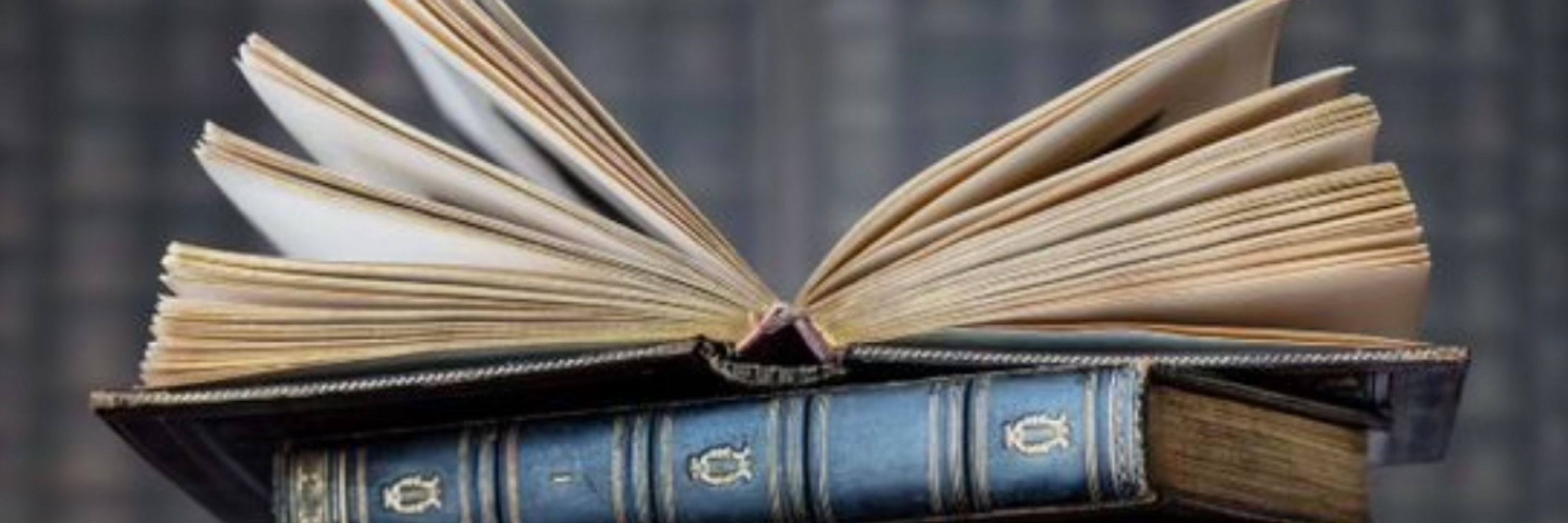 Сакура 📚🇺🇦
