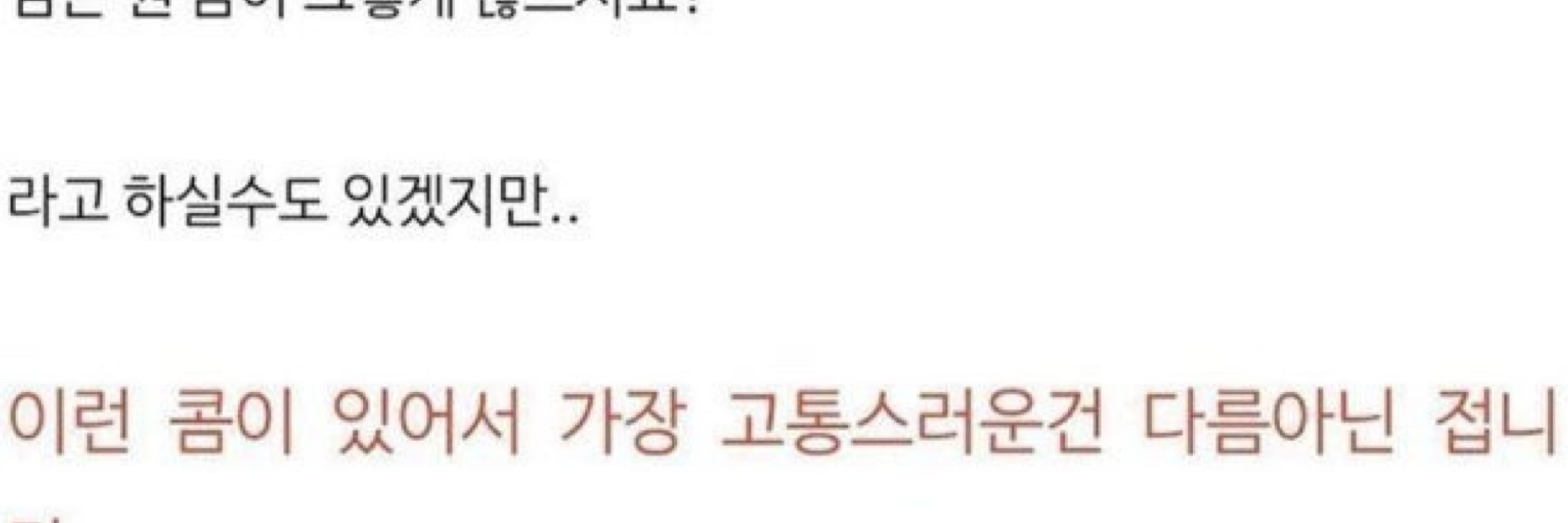 콰 더 정일품으뜸소나무