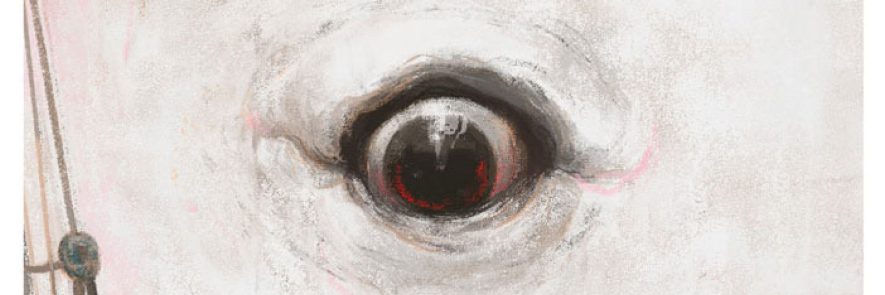 anchovies