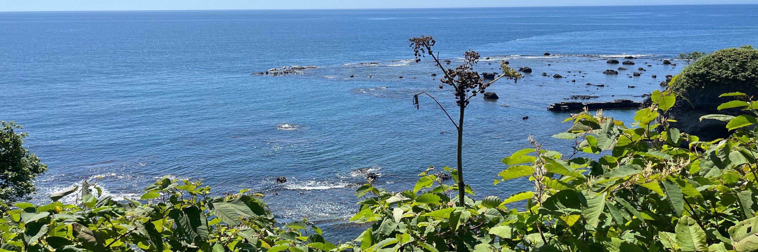 天空は空高く浮かんでいる。