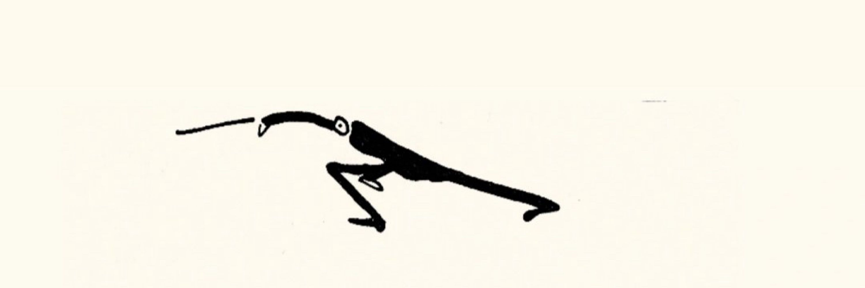 fipo