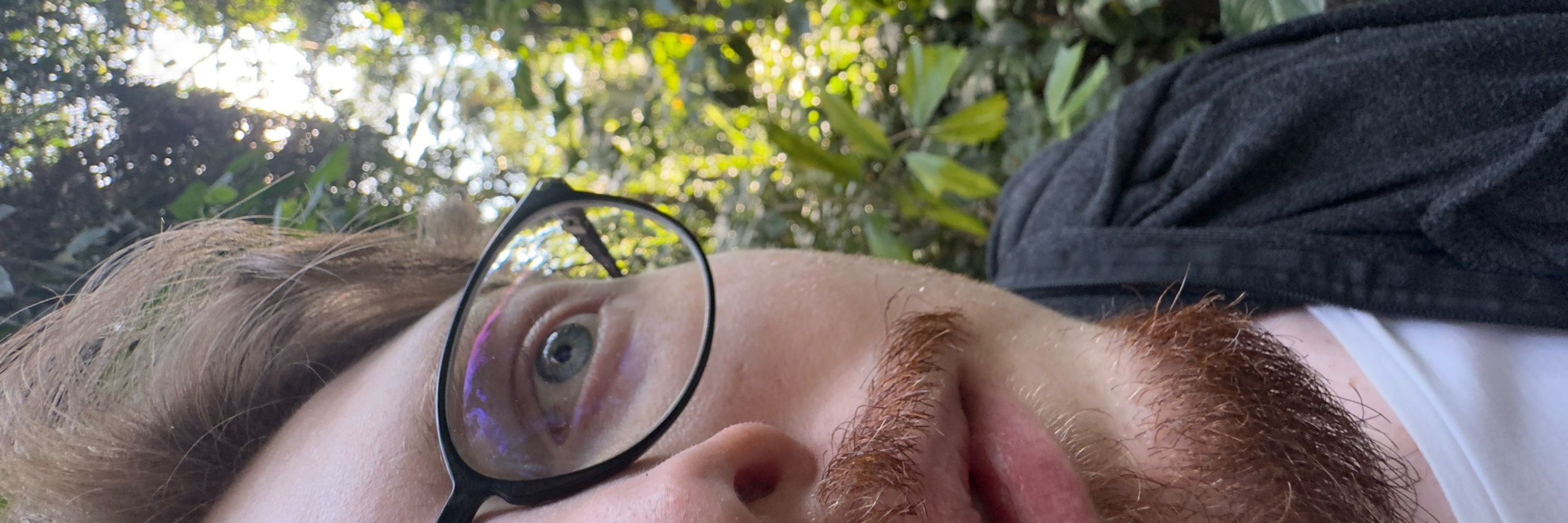 Alek