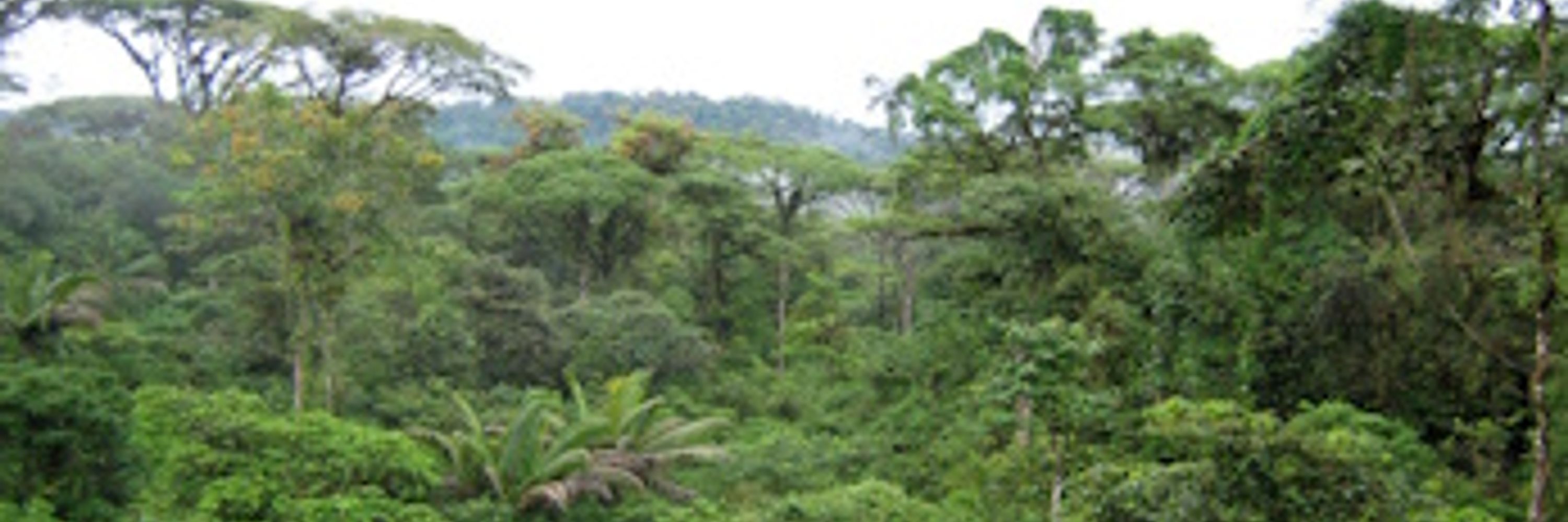 Friends of Mother Earth