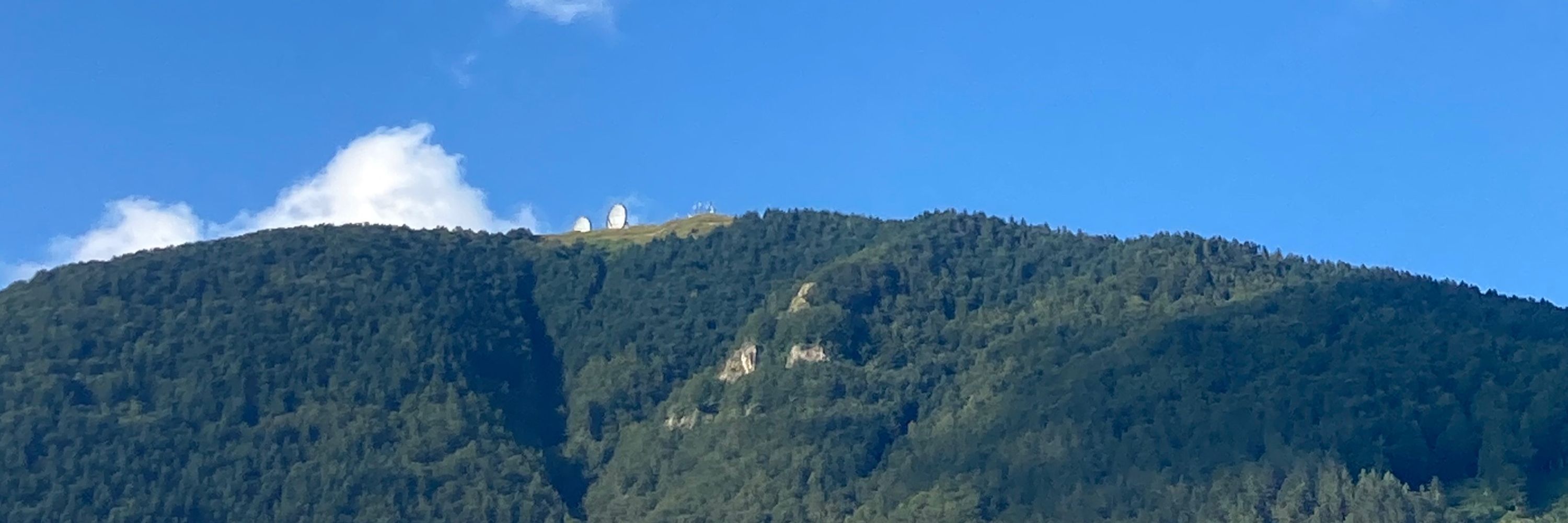 Riccardo