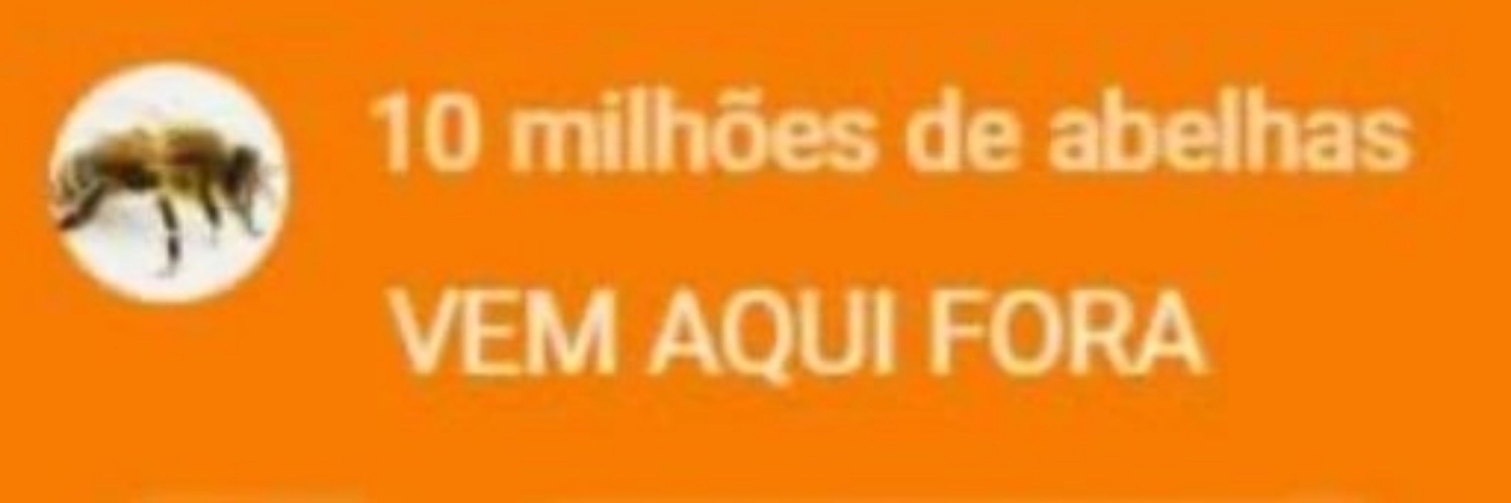 eduds