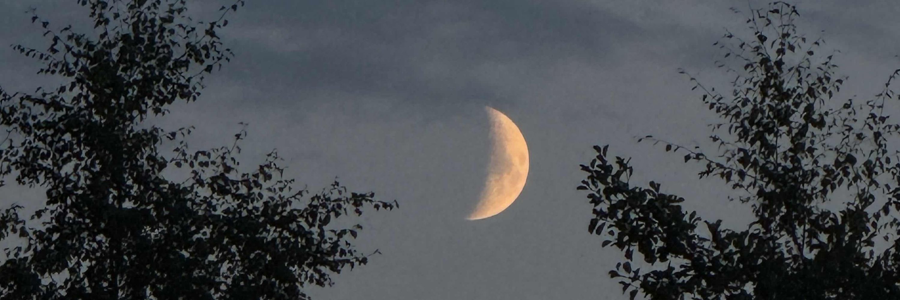 🌙 🕯️ 𝔐𝔬𝔬𝔫 🕯️🌙