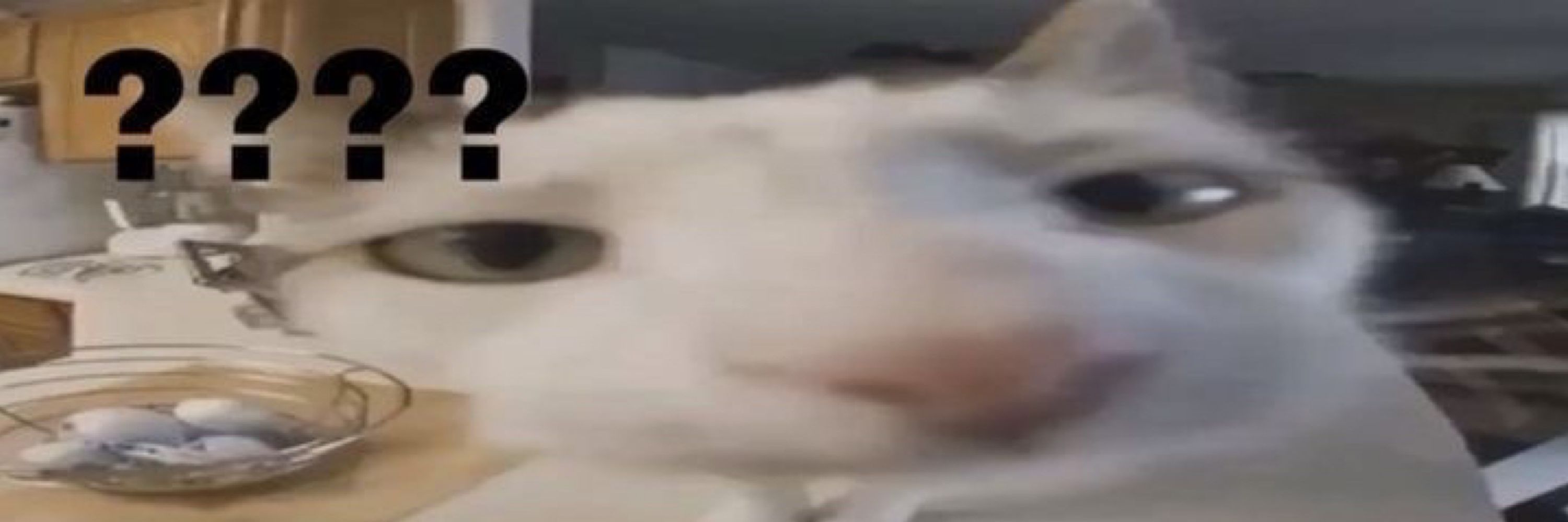 ma