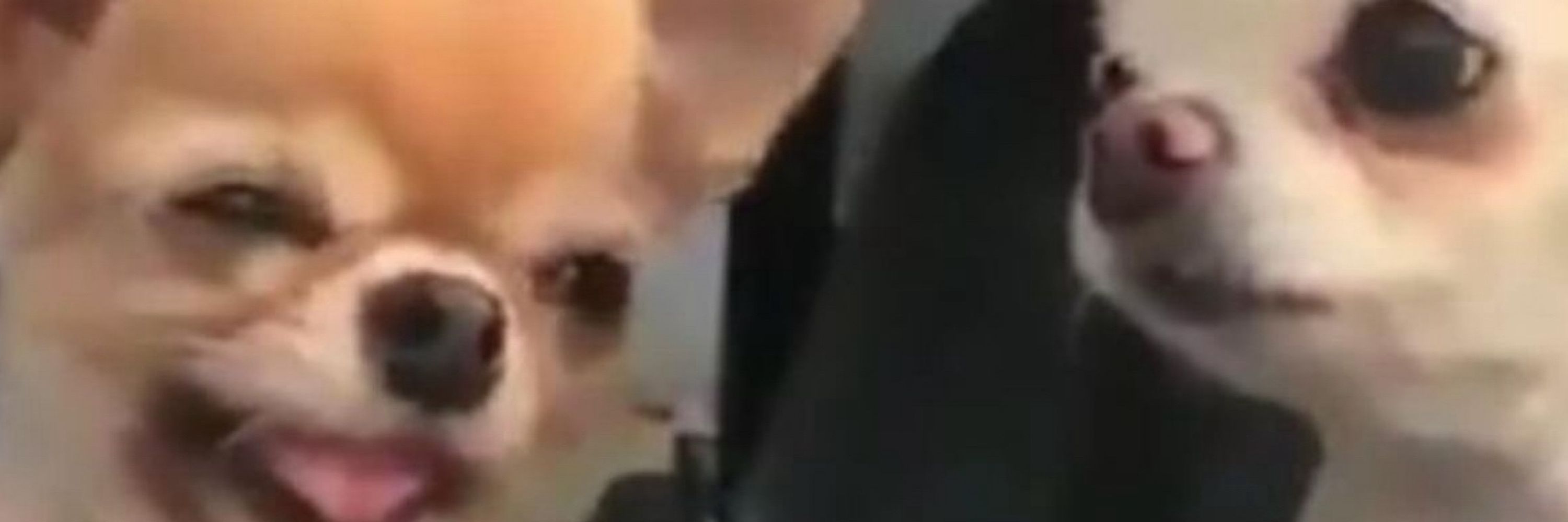Babi Cavati 