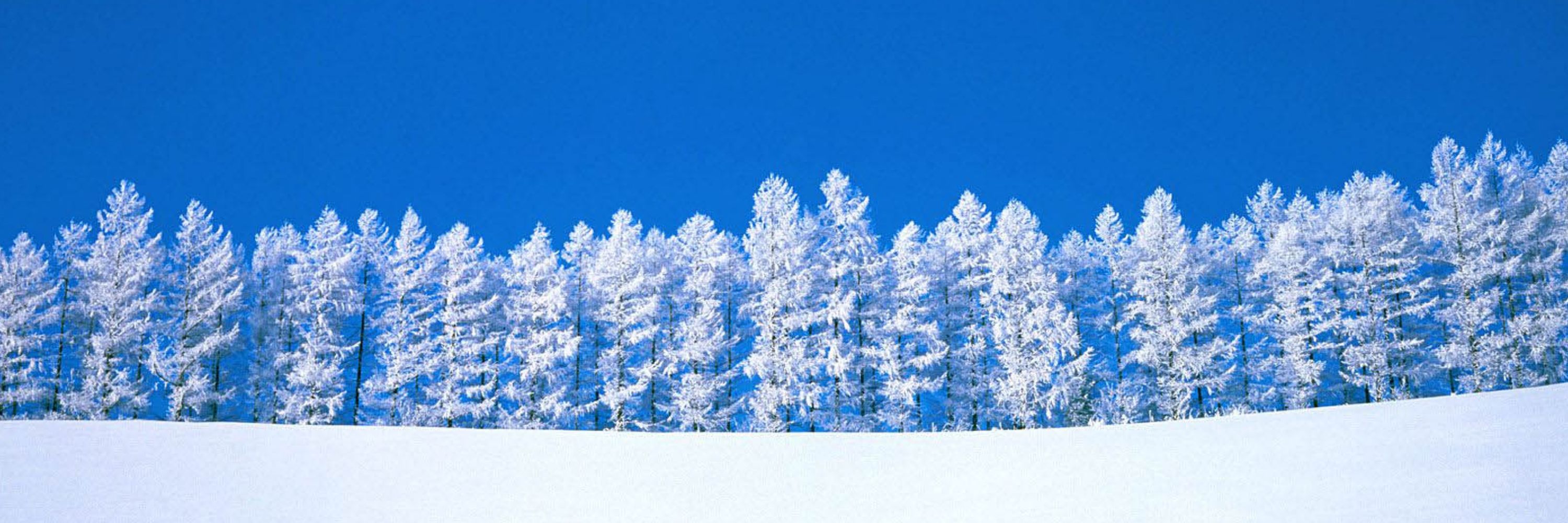 ⛄️☃️⛄️