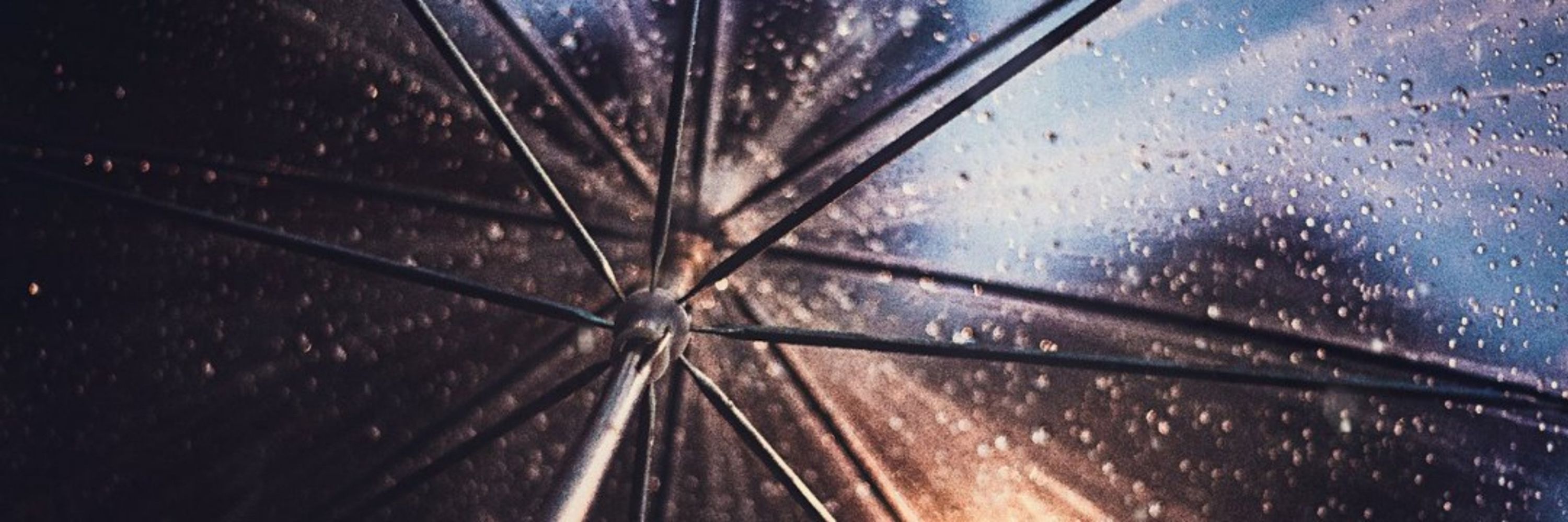 Rain ☔