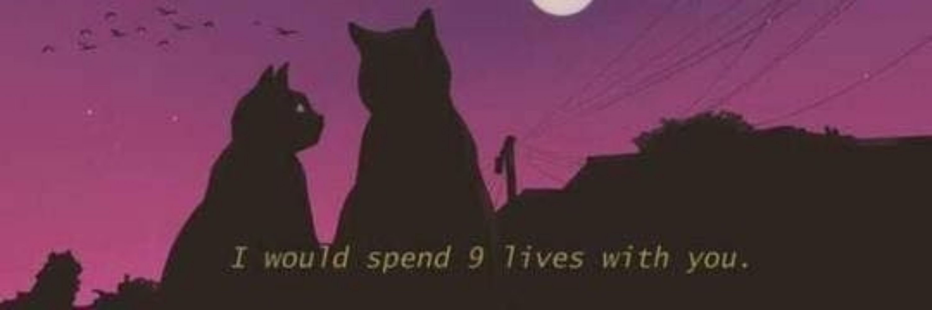 Beewolf