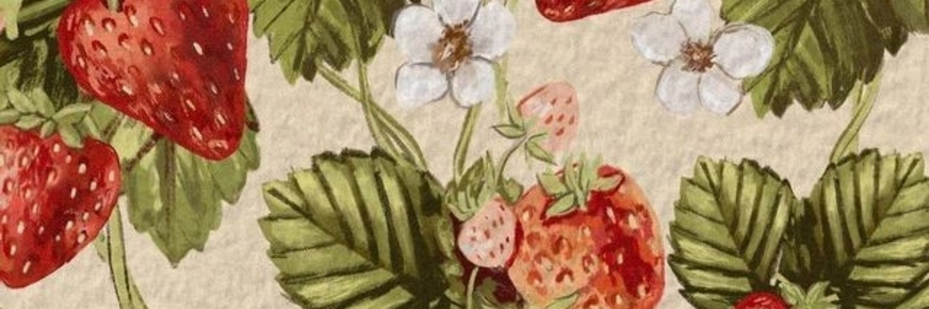 Elyara Aux Fraises
