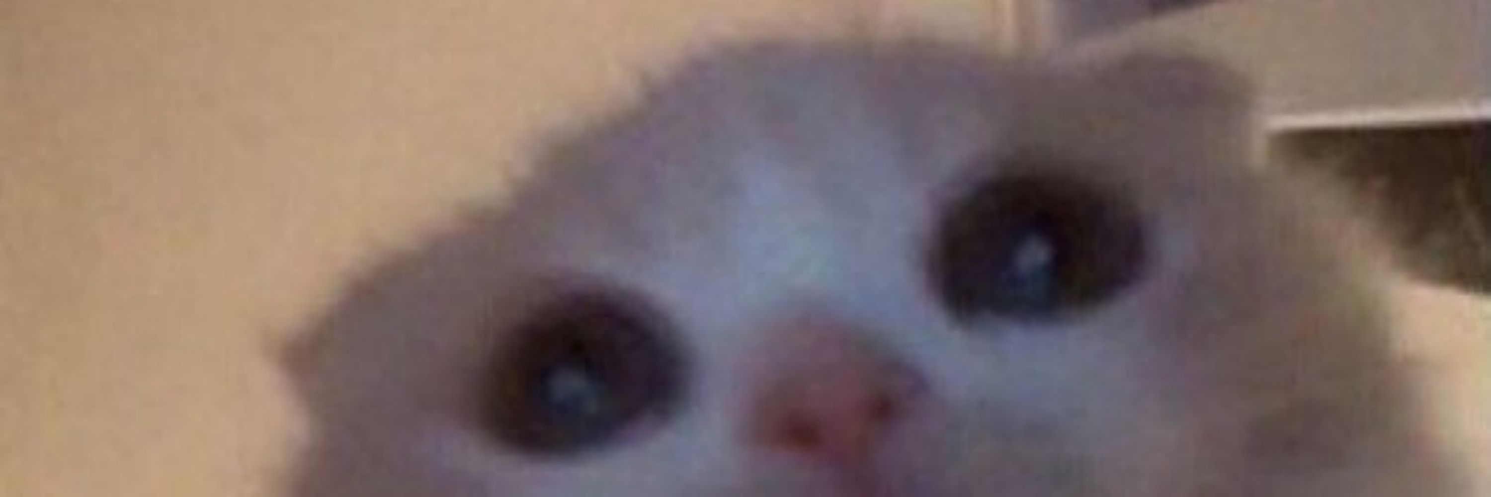 Soulsoblank 