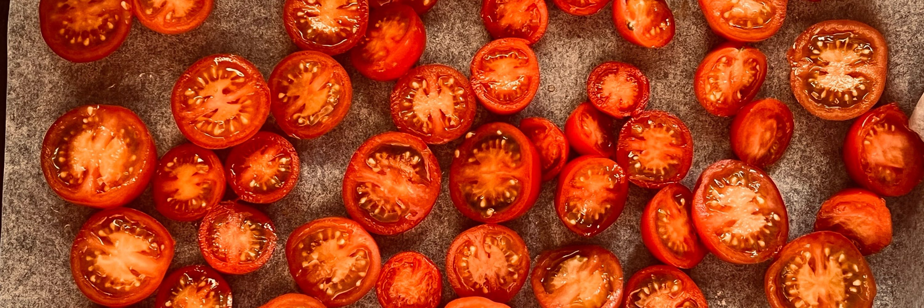tobari tomato farm