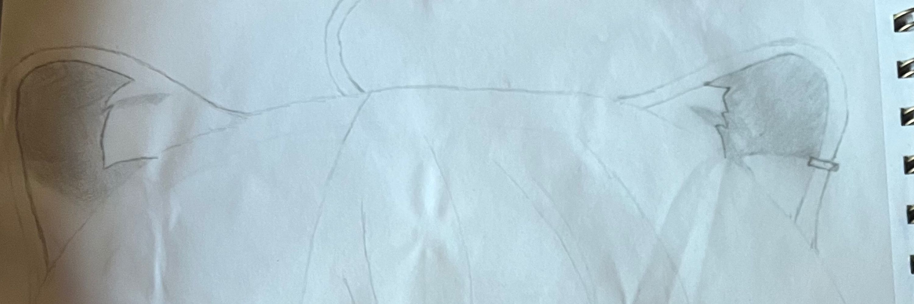 Penguin_Division