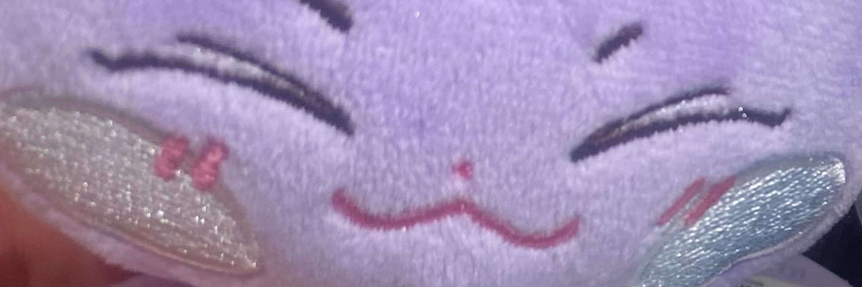 S&M