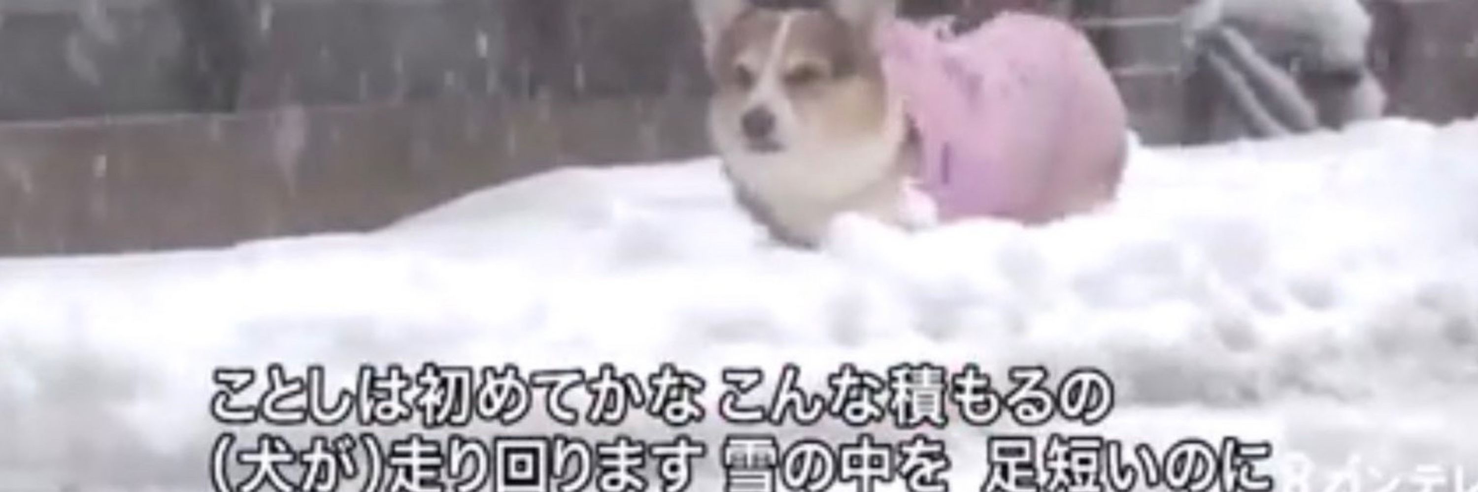 うみ