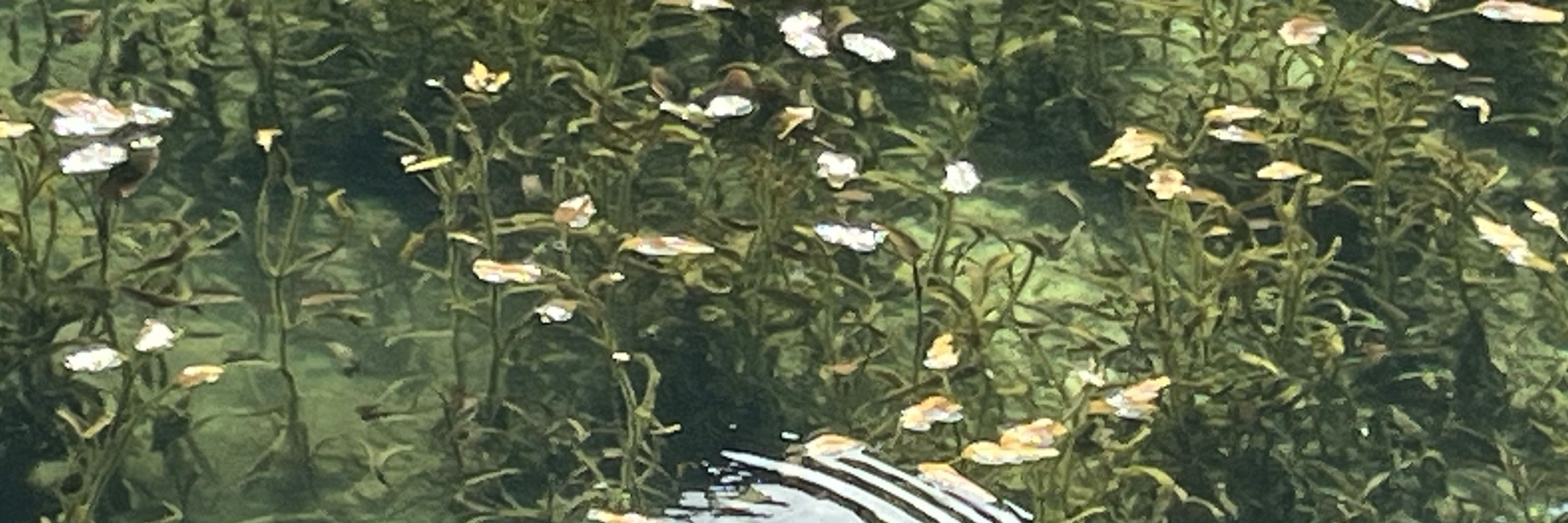 クロア