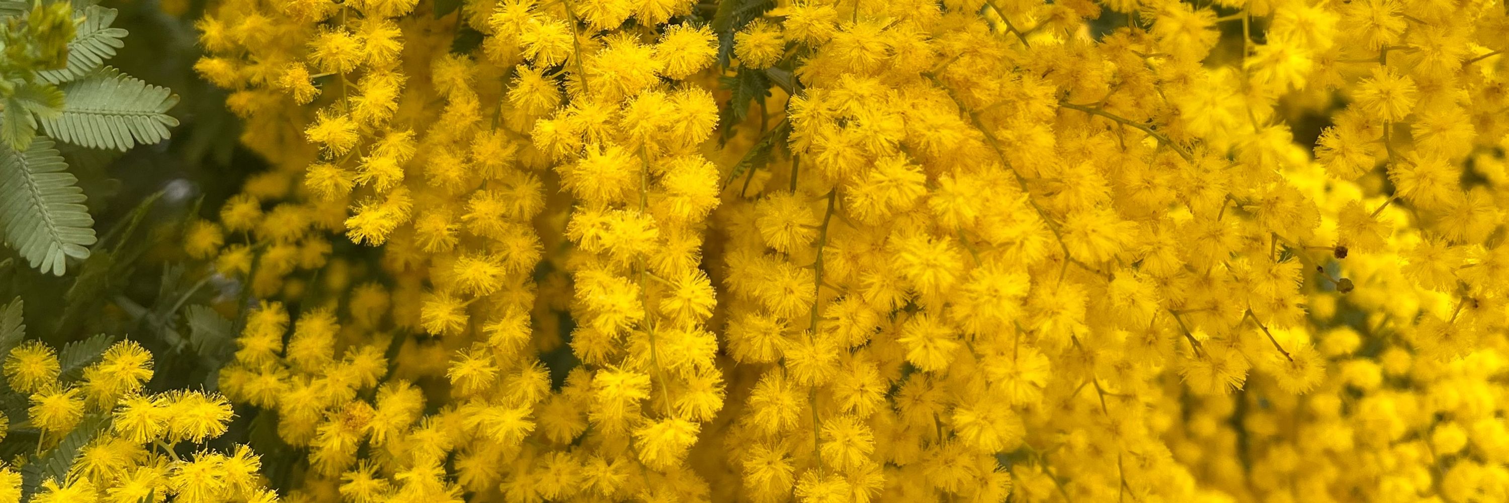 月