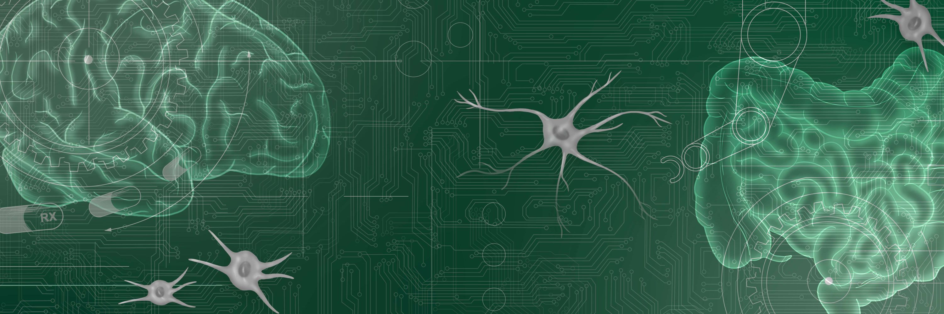 The Institute for Glial Sciences