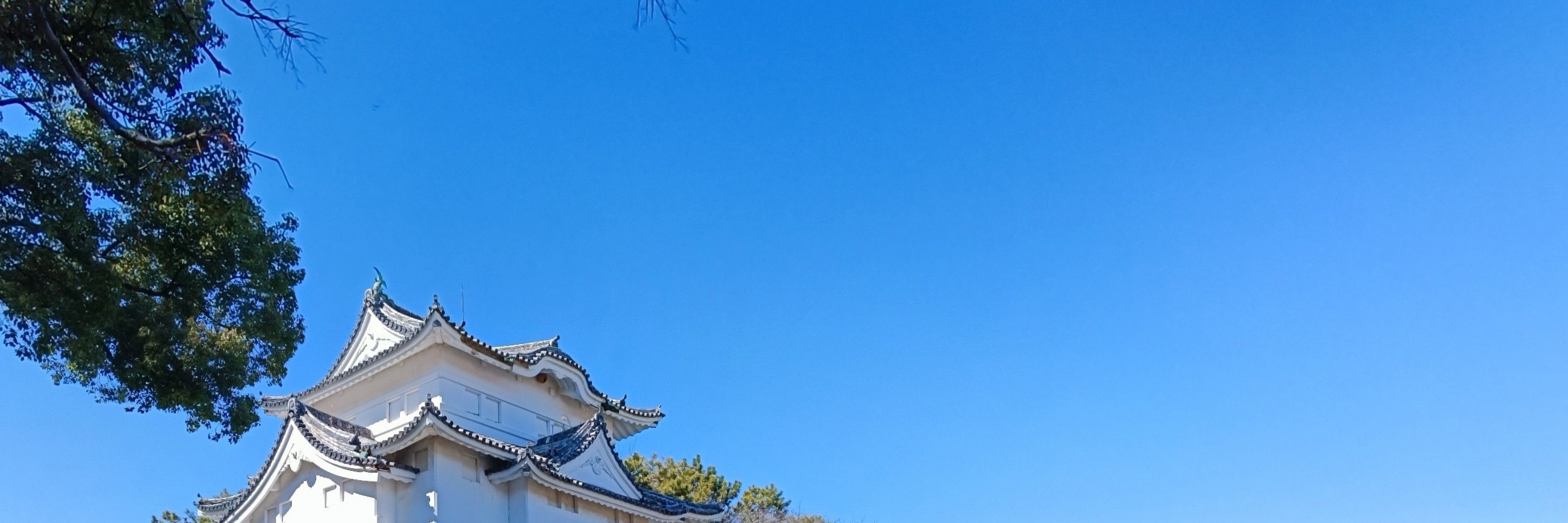 新里　紅